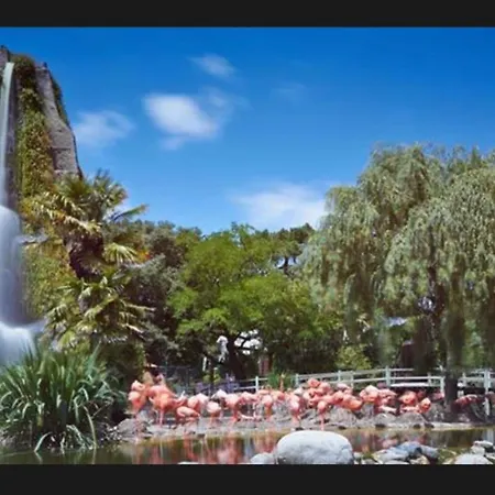 Mobil-home 3ch 8 Pers - Les Charmettes K100 -